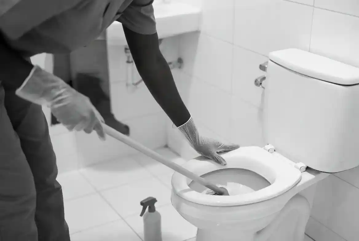 Toilet Bowl and Sink Cleaning